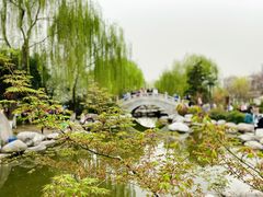 -西安青龙寺遗址景区