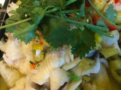 -香榭里音乐酒吧(丰美店)