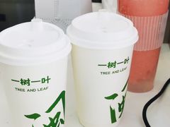 -一树一叶·福建茶档(石鼓路店)
