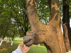 -艾溪湖湿地公园