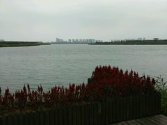 -天津东丽湖风景区