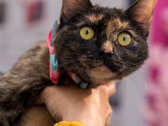 -太平洋数码广场