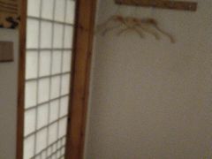 -鸥迪足道(湖南示范店)