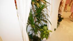 -芮娜皮肤管理·SPA中心