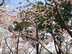 -静安雕塑公园