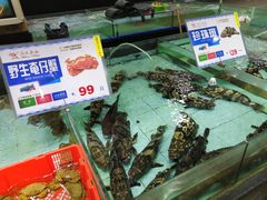 -渔民新村(番禺总店)