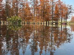 -白鹭湾湿地公园