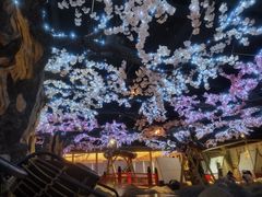 -蓝鲸湾汤泉(包河店)