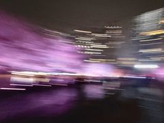 -西北湖绿化广场