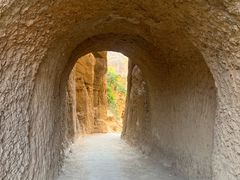 -元谋土林景区(物茂土林)