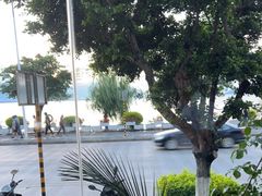 -野菌皇海景野生菌火锅(滨海大道店)