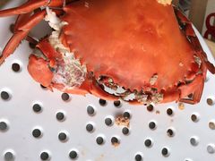 -必点蒸汽海鲜(止锚湾店)