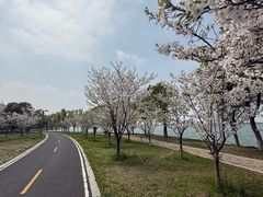 -阳澄湖半岛旅游度假区