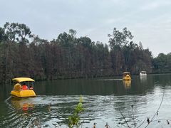 -星湖旅游景区七星岩