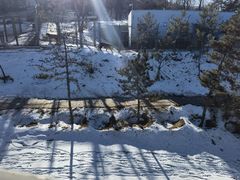 -青藏高原野生动物园