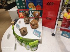 -春润大地海南椰子鸡(沙井京基百纳广场店)