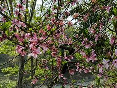 -唐崖土司城遗址