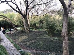 -上海方塔园
