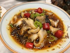 -日丰园海肠水饺·老字号大连海鲜(小平岛总店)