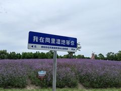 -同里国家湿地公园