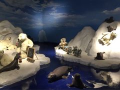 泰迪熊博物馆-成都泰迪熊博物馆