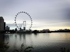 -新加坡摩天观景轮