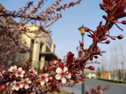 -大连市妇女儿童医疗中心