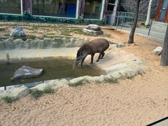 -西霞口神雕山野生动物世界