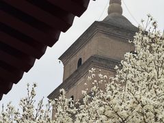 -大慈恩寺(大雁塔)