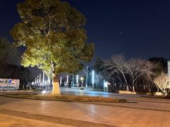 -九里河湿地公园
