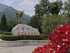 -少华山国家森林公园