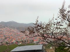 -崂山巨峰游览区