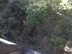 -狼牙山风景区