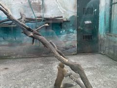 -无锡动物园·太湖欢乐园