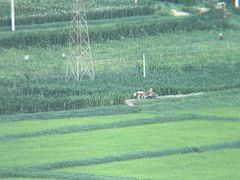 -星河湾温泉洗浴酒店