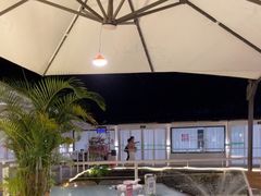 -芭厘农庄老字号·清远鸡