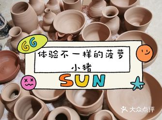 夏季一定要去体验的菠萝小猪️