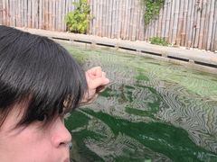 -大连金石滩绿发温泉假日酒店