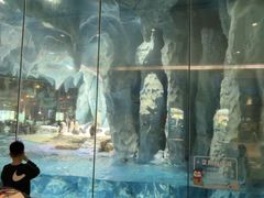 -帝企鹅自助餐厅•儿童岛•真企鹅(长隆企鹅酒店)