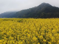 -新安江山水画廊风景区