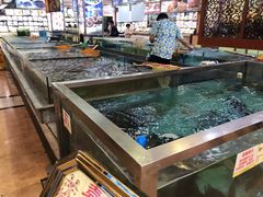水产区-花好悦园(瀛洲店)
