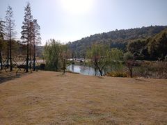 -南京市无想山景区