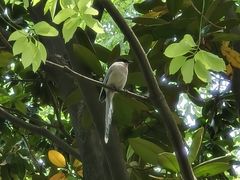 -苏州河梦清园环保主题公园