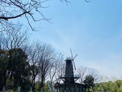 -上海鲜花港