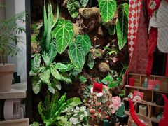 -自由生长植物工作室(深港花卉中心店)