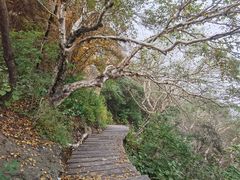 -白草畔自然风景区