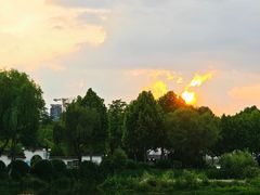 -金银湖国家城市湿地公园