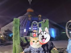 -海拉尔蒙古包(房山长阳总店)