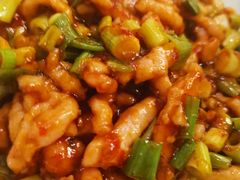 鱼香肉丝-大鸭梨烤鸭店(花园村店)