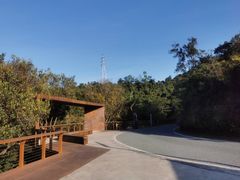 -阳台山森林公园